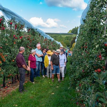 Vakantie Oord Zonnehoeve Valkenburg aan de Geul Esterno foto