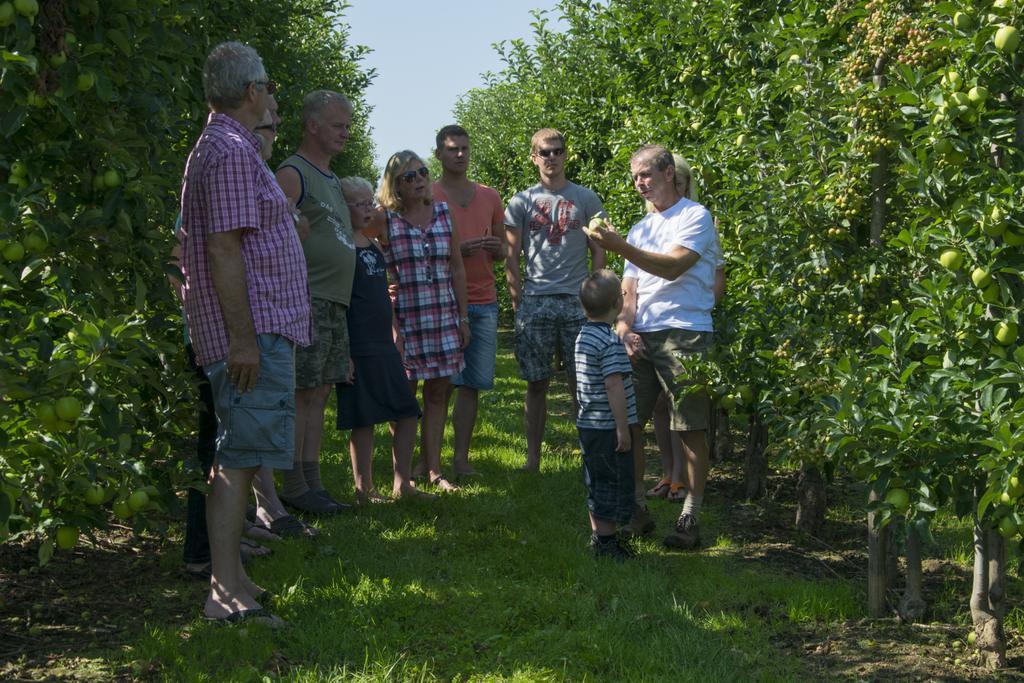 Vakantie Oord Zonnehoeve Valkenburg aan de Geul Esterno foto