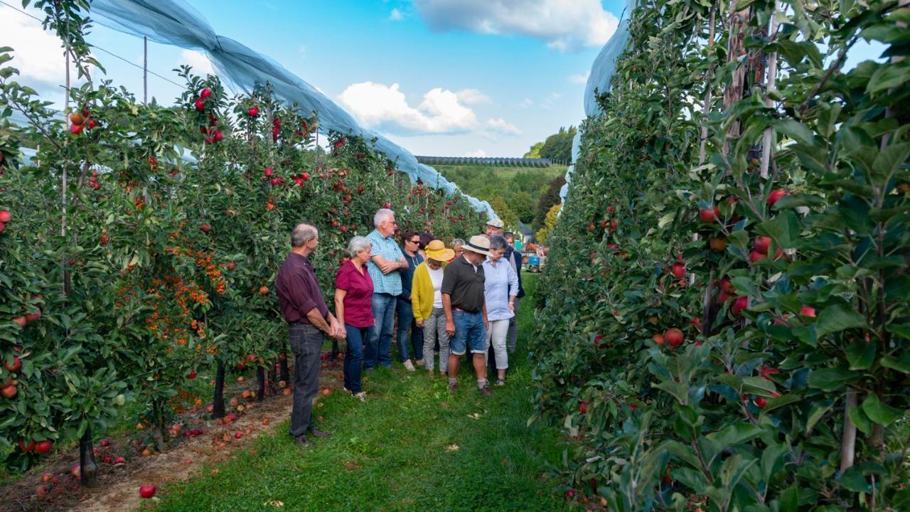 Vakantie Oord Zonnehoeve Valkenburg aan de Geul Esterno foto